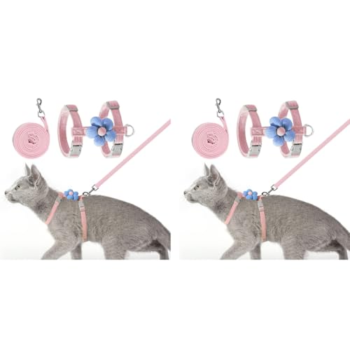 Qpets® Cat Harness with Leash Set for Kitten Quick Release Buckle Escape-Proof Cute Flower Small Pet Belt Outdoor Walking Travel M Chest 27-43cm Neck 23-33cm 2PCS Qpets® Cat Harness with Leash Set for Kitten Quick Release Buckle Escape-Proof Cute Flower Small Pet Belt Outdoor Walking Travel M Chest 27-43cm Neck 23-33cm 2PCS